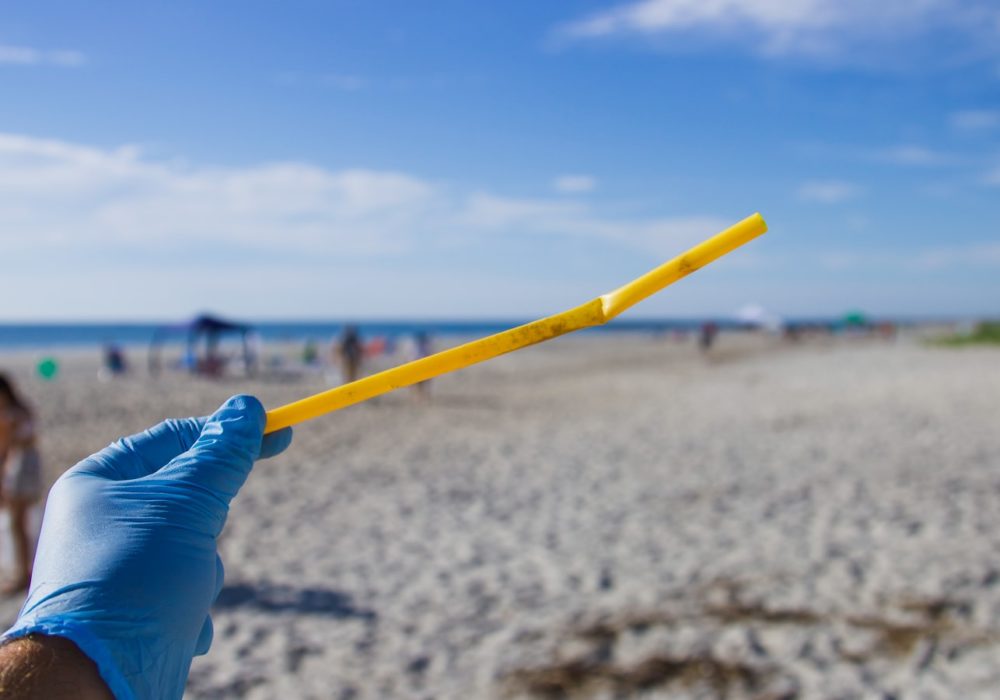 Beach Clean